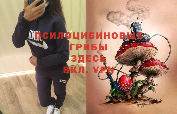 гидра Богородск