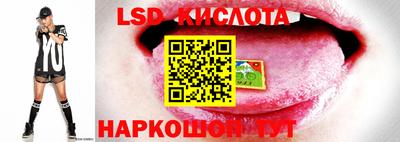метадон Тверь