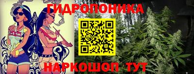 крисы Татарск